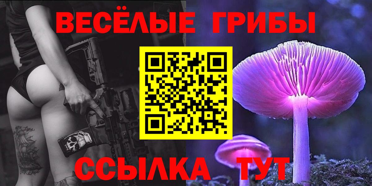Галлюциногенные грибы ЛСД  Вход с VPN  Волгоград  Псилоцибиновые грибы Psilocybe 